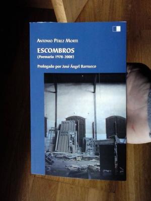 Escombros (Antonio Pérez Morte) 2ª edición, Ed. Celya